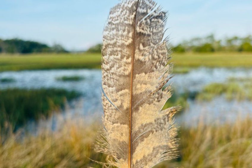A single feather in focus with a blurred natural landscape in the background. 4