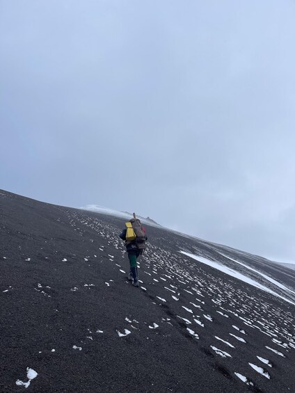 Longyearbyen: Hype hike with Snacks and Drinks 1