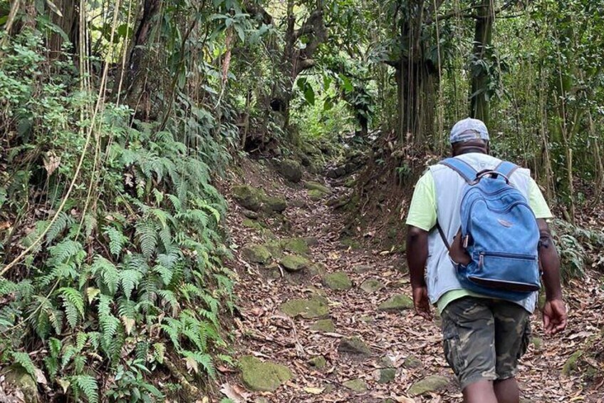 Hike to Montserrat's Hidden Dry Waterfall 3