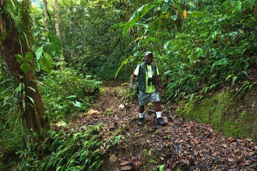 Hike to Montserrat's Hidden Dry Waterfall 2