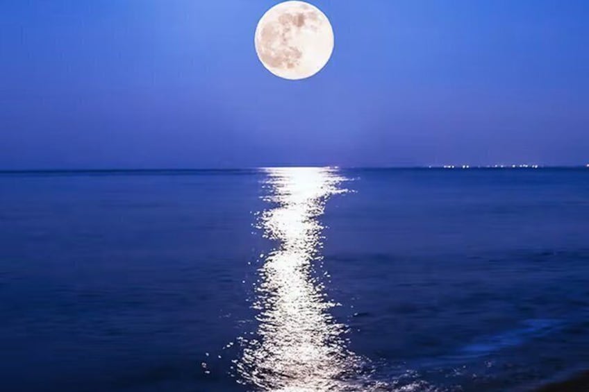 Full Moon Kayak Tour Port Townsend, WA 3