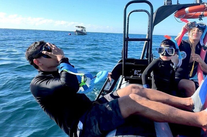 Swim With the Whales 3