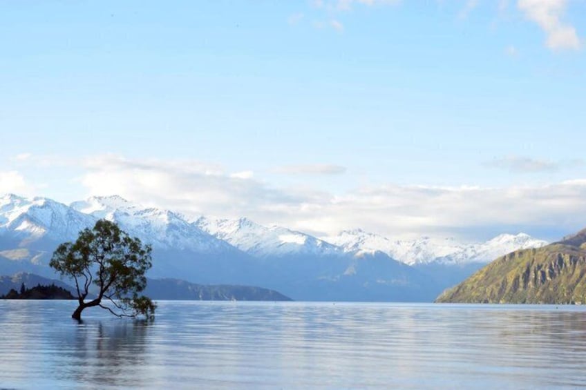 Wānaka Day Tour from Queenstown Scenic Drive and Lakeside 1