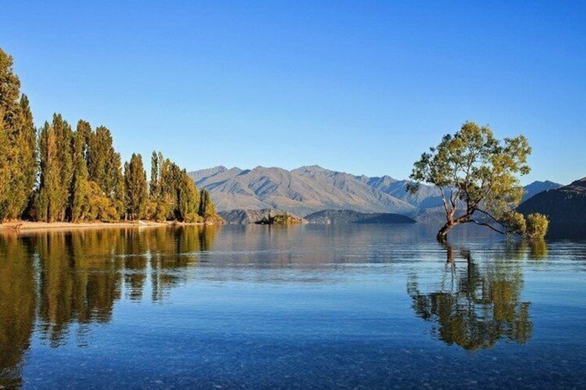 Wanaka Private Tour from Queenstown Scenic Drive and Lakeside 5
