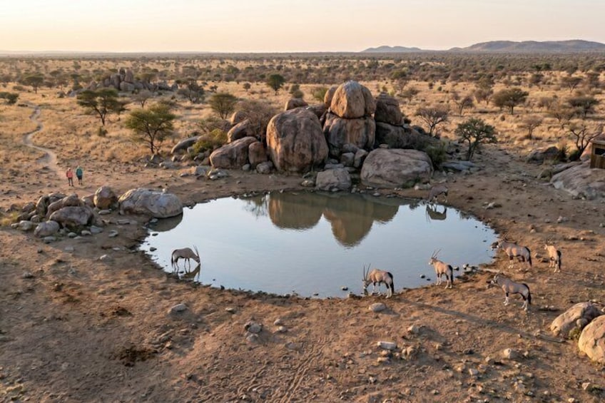 Een droog savannelandschap met een klein watergat, omringd door rotsen en schaarse begroeiing. 4