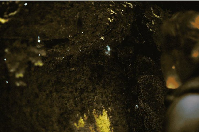 A close-up of a textured surface with a small, illuminated structure in the background. 3