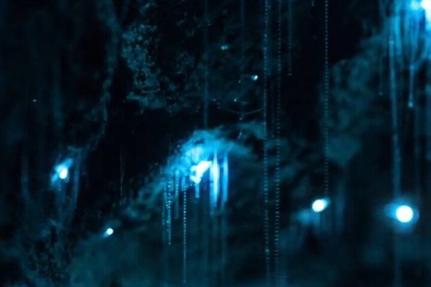 A cave with blue lighting and hanging stalactites. 2