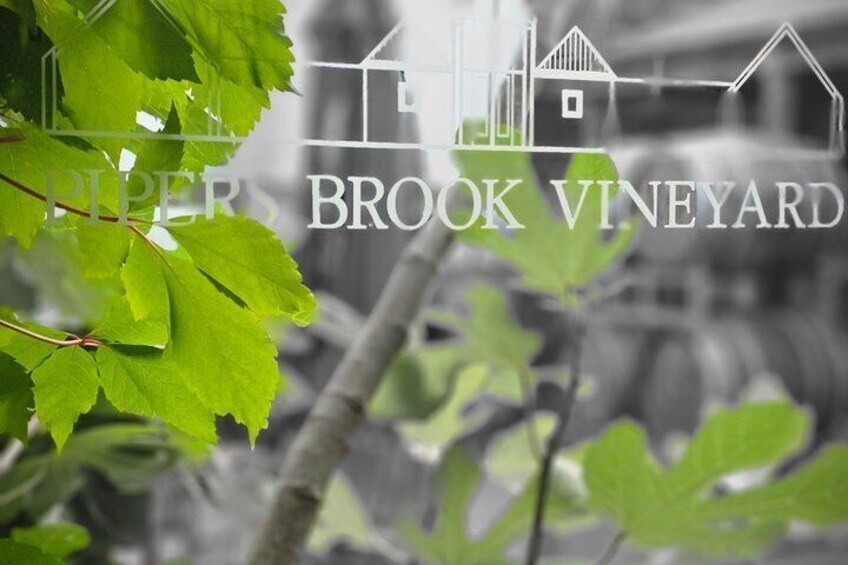 East Tamar Valley Premium Private Wine Tour with Gourmet Lunch 2