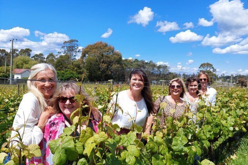 East Tamar Valley Premium Private Wine Tour with Gourmet Lunch 4