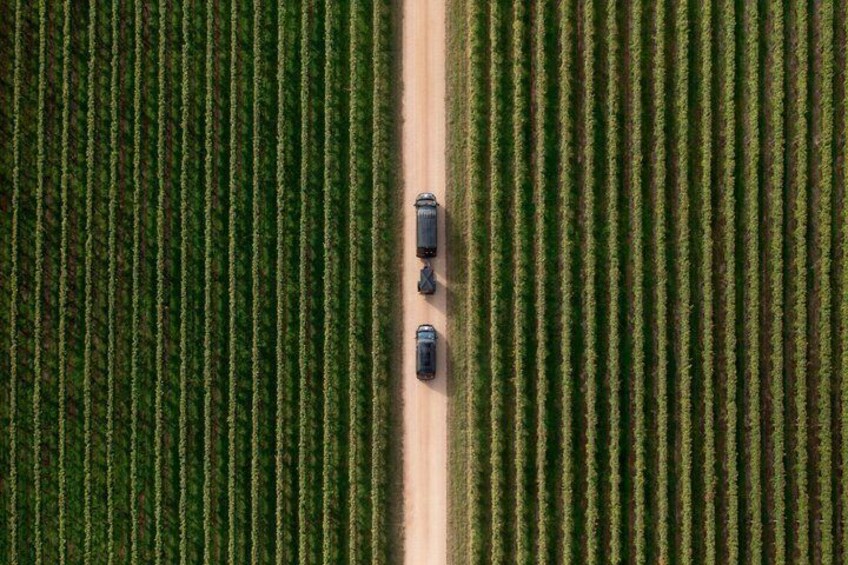East Tamar Valley Wine Tour with Gourmet Lunch 1