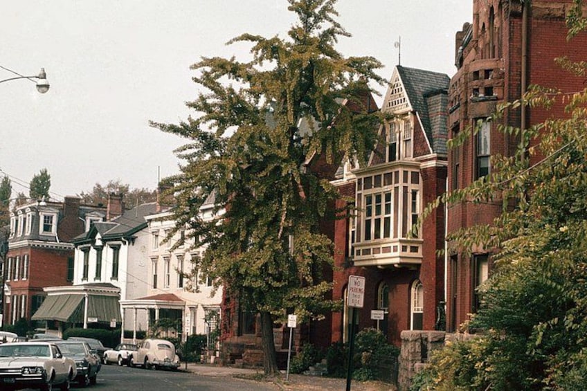A street lined with Victorian-style buildings, parked cars, and a large tree. 1