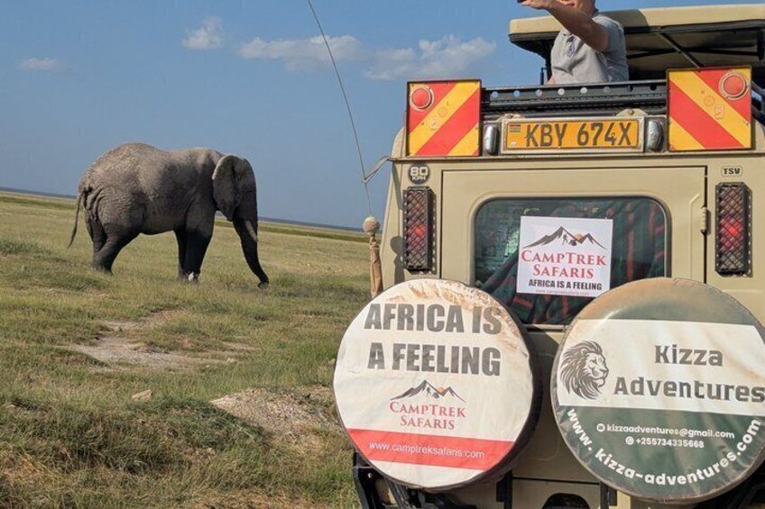 8 Days Tanzania and Kenya Budget Private Safari 4