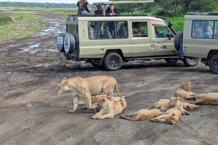 8 Days Tanzania and Kenya Budget Private Safari 1