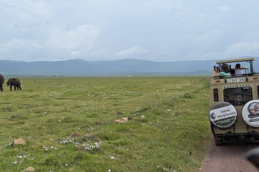 8 Days Tanzania and Kenya Budget Private Safari 5