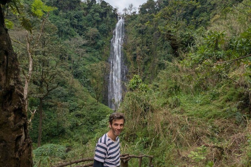 A waterfall surrounded by dense forest. 5