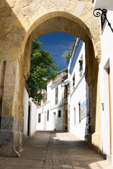 Picture 4 for Activity Córdoba: Historic Quarter Private Tour with Wine Tasting 3