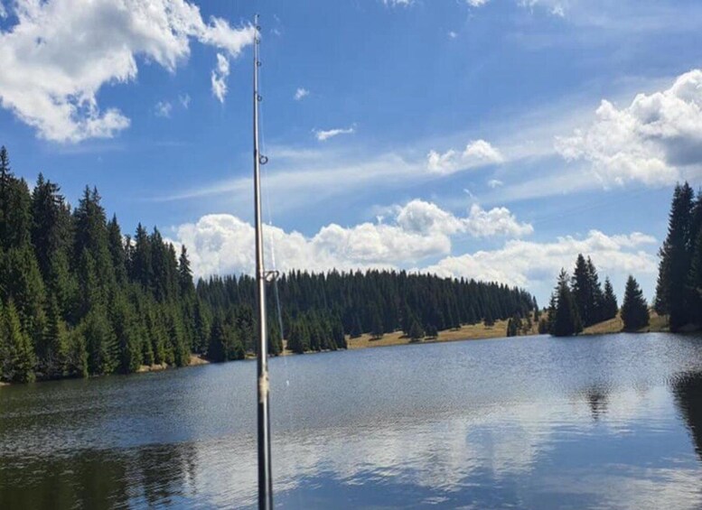 A fishing rod in a calm lake surrounded by dense forest. 2