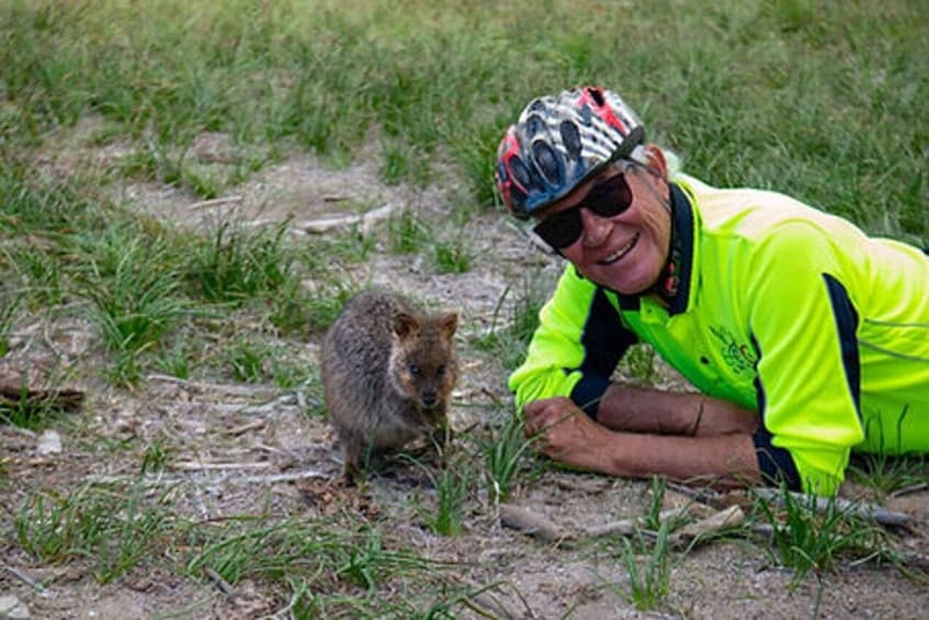 A person in a neon yellow jacket and helmet interacting with a small mammal on a grassy field. 4