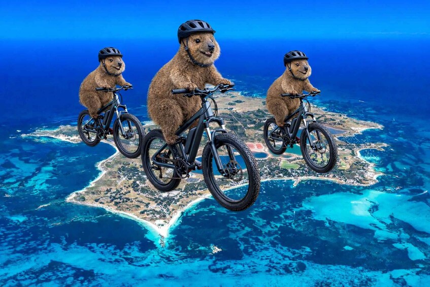 Three animated characters riding bicycles over a coastal landscape. 1