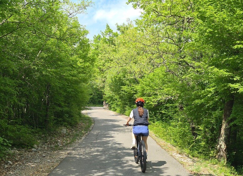 A cyclist on a paved path surrounded by dense green foliage. 5