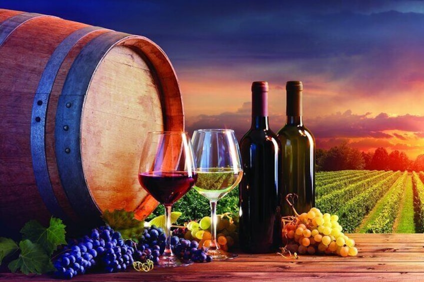 McLaren Vale Wine Lover Full Day Private Tour 1