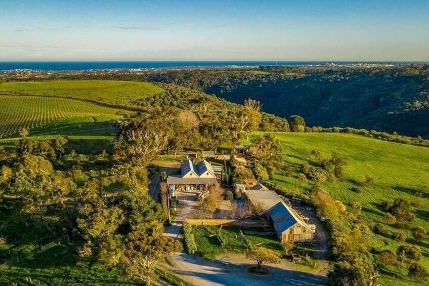McLaren Vale Wine Lover Full Day Private Tour 5