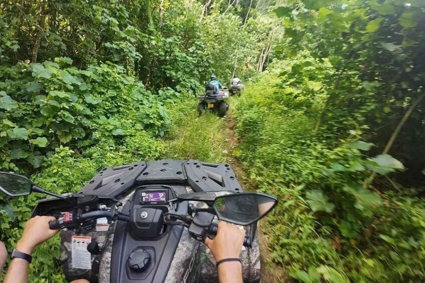 Picture 7 for Activity Taha’a: Island Guided Quad Adventure with Tastings & Views 4
