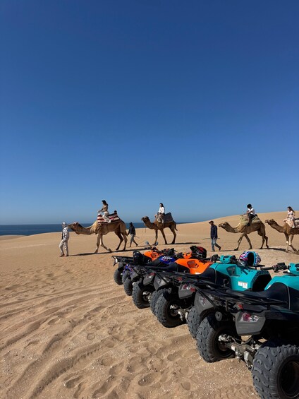 Camels and ATVs on a desert sand dune with a clear sky. 5