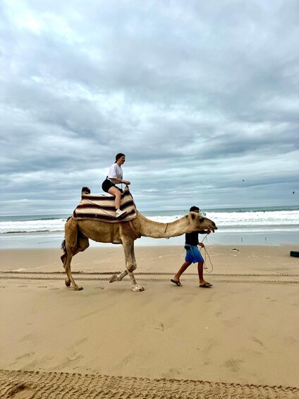 A camel with a rider on a beach near the ocean. 4