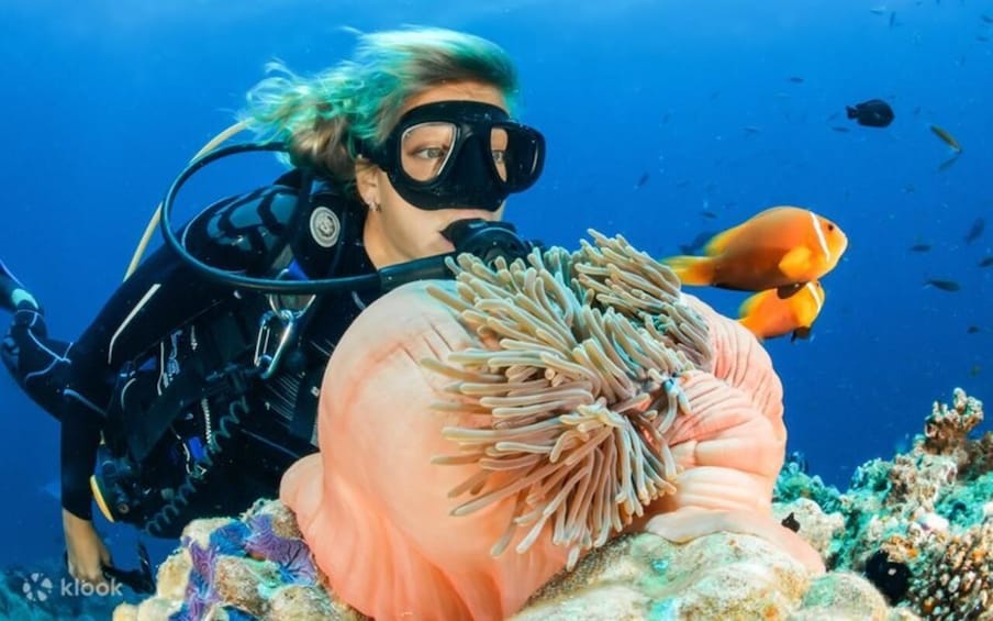 Picture 4 for Activity Bali: Nusa Dua Scuba Diving & Jet Ski Adventure 4