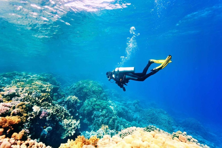 Bali: Nusa Dua Scuba Diving & Jet Ski Adventure 1