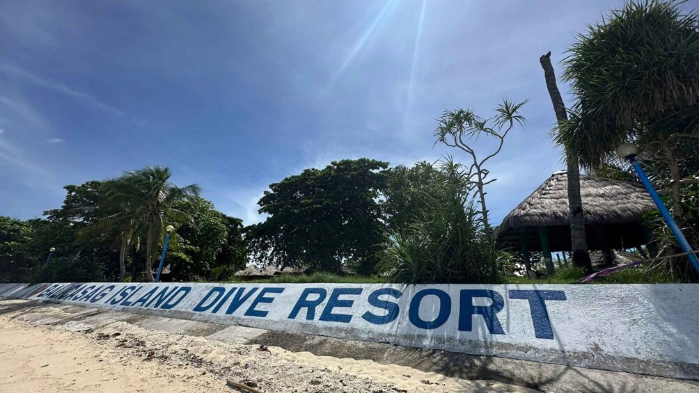 Picture 3 for Activity Panglao: Island Hopping with Snorkeling and Dolphin Watching 3