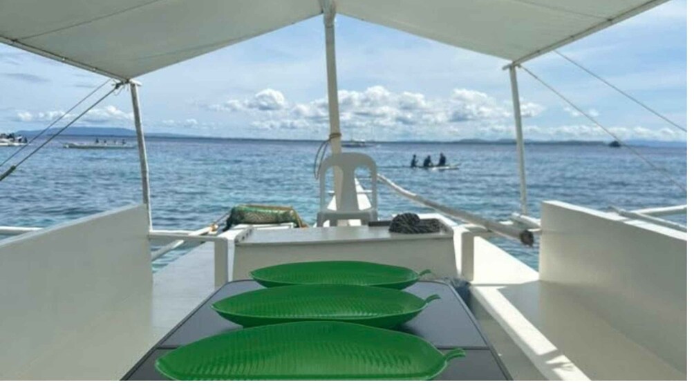 Panglao: Island Hopping with Snorkeling and Dolphin Watching 1