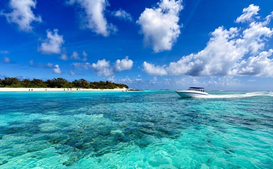 Mauritius: Northern Islands Lagoon Adventure with Sea Turtle 1