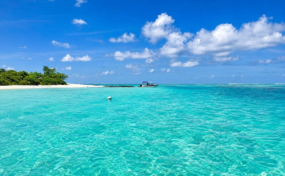Picture 4 for Activity Mauritius: Northern Islands Lagoon Adventure with Sea Turtle 2