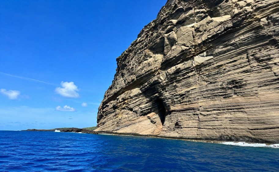 Picture 5 for Activity Mauritius: Northern Islands Lagoon Adventure with Sea Turtle 3