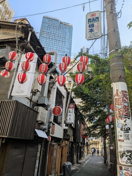 Picture 16 for Activity Tokyo Highlights and Hidden Gems in 1 Day 5