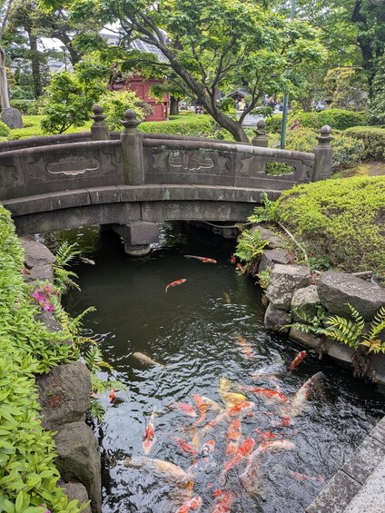 Picture 11 for Activity Tokyo Highlights and Hidden Gems in 1 Day 2