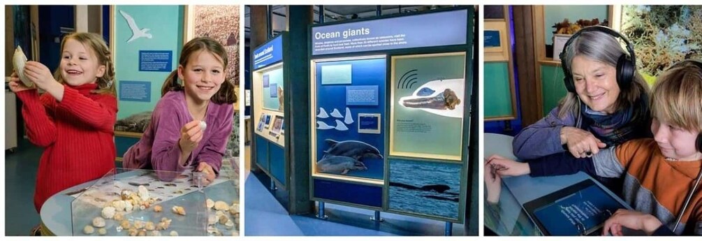 Picture 4 for Activity Scottish Seabird Centre: Discovery Experience Entry Ticket 4