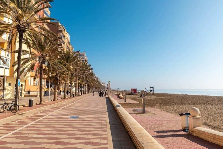 A seaside promenade lined with palm trees and buildings, leading to a beach. 4