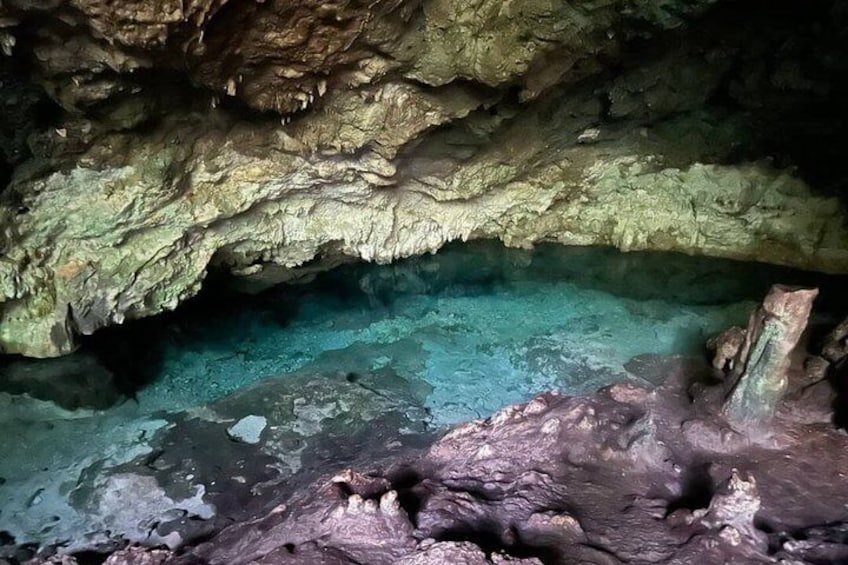 Jozani Forest,Kuza Cave,The Rock Restaurant & Paje Beach Private 5