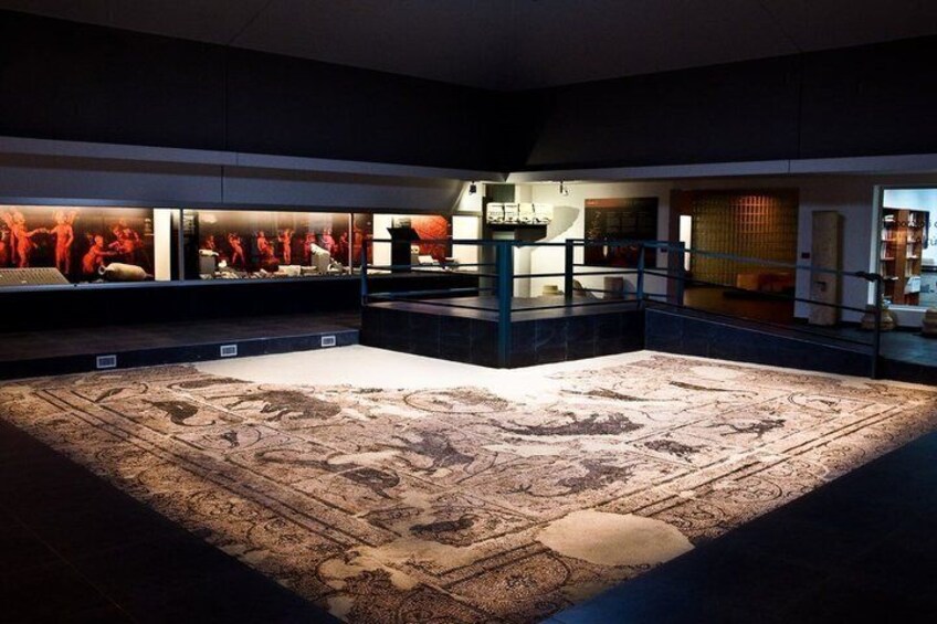 Tour of the archaeological site La Alcudia de Elche 3