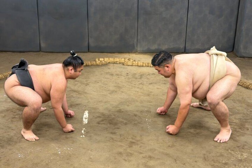 Authentic Sumo Experience inside a Real Sumo Stable 1