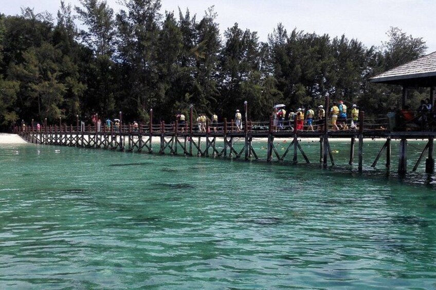A wooden pier extending into turquoise water, surrounded by dense forest. 2