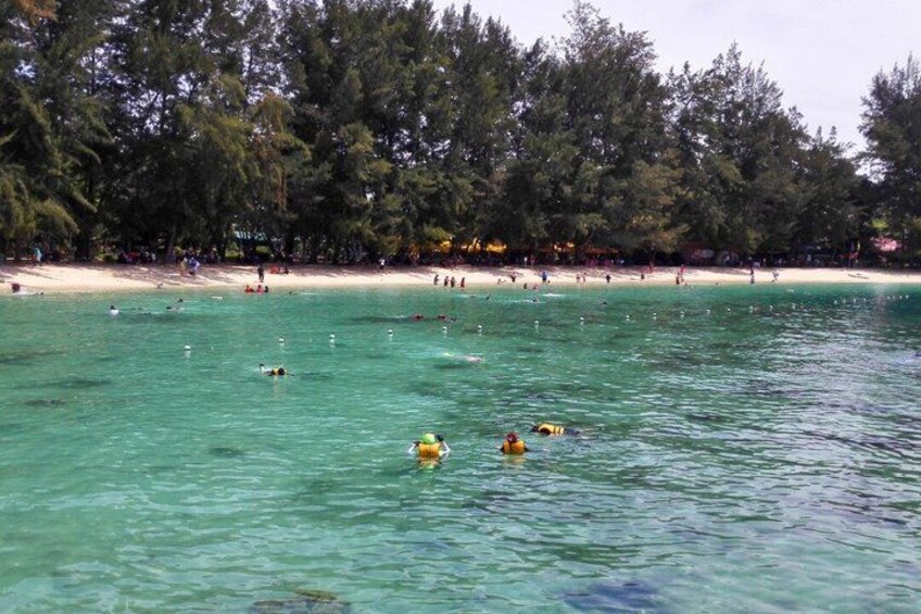 A beach with clear turquoise water, swimmers, and a forested background. 2