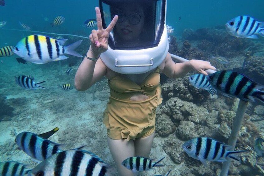 A person in a yellow swimsuit underwater with a diving mask, surrounded by striped fish. 3