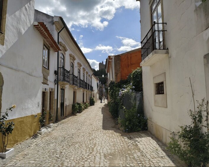 Picture 2 for Activity Tomar: Templar Historic Center 2