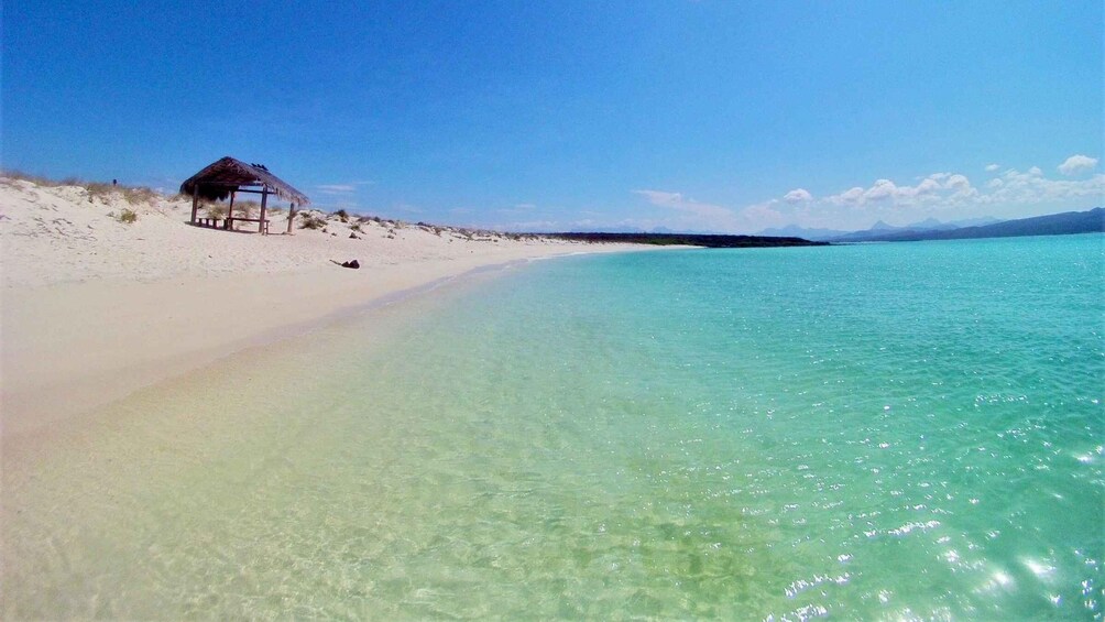 Picture 1 for Activity Coronado Island and Snorkel Tour 3