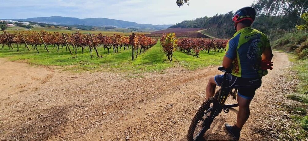 Óbidos: E-Bike Tour to Quinta do Gradil with Wine Tasting 1