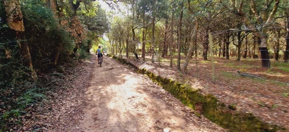 Picture 2 for Activity Óbidos: E-Bike Tour to Quinta do Gradil with Wine Tasting 5